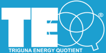 Trigunatest — TEQ Personality Test Logo